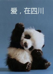 爱，在四川---熊猫篇（微电影）