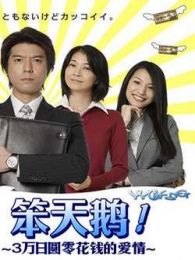 《笨天鹅》电视剧全集-高清在线观看\/下载