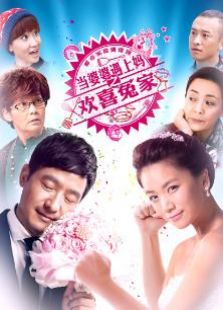 《<em>黄梅戏</em>宗师传奇》电视剧全集-高清在线观看