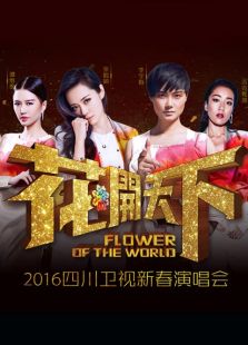 湖南卫视2012-2013跨年狂欢夜演唱会最新一期