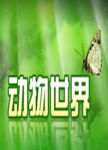 动物世界