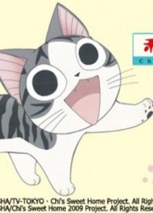 甜甜私房猫第2季