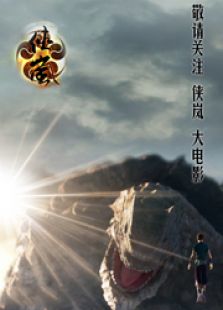 侠岚大电影全集