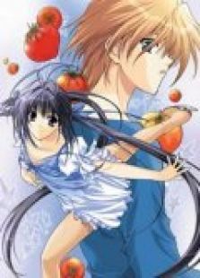 银盘万花筒国语版