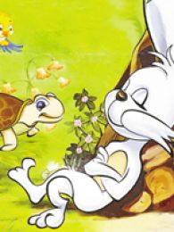乌龟和兔子在线观看_乌龟和兔子全集(1-1)动画