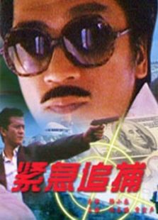 紧急追捕完整版