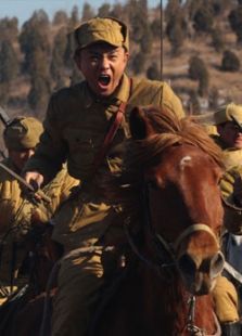 成成烽火之骑兵第一师完整版