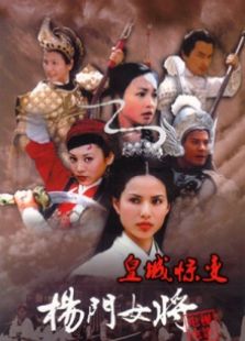 杨门女将皇城惊变完整版