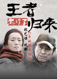 张艺谋巩俐27年的银幕情仇完整版