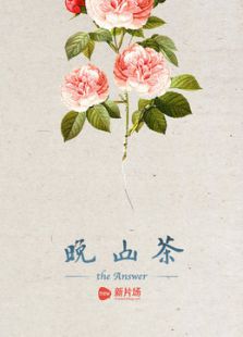 晚山茶微电影免费观看