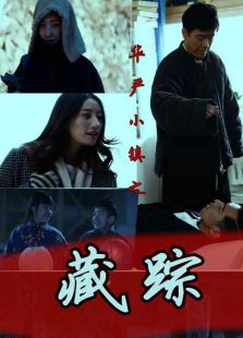 华严小镇2之藏踪