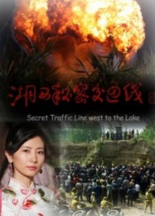 湖西秘密交通线完整版