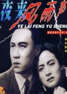 《惊天大贼王粤语版》电影-高清电影完整版-免
