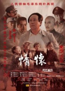 领袖情怀完整版