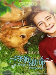 一条狗的使命 国语版