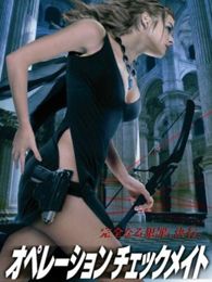 蜘蛛大盗完整版