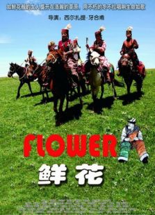 鲜花完整版