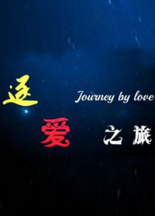 逐爱之旅