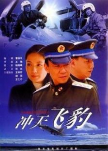 冲天飞豹完整版