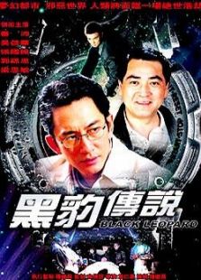 黑豹传说完整版