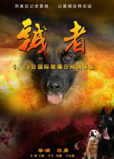 诚者完整版