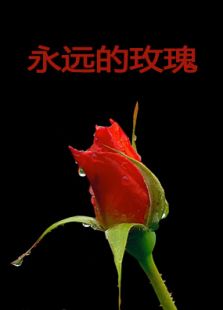 永远的玫瑰微电影