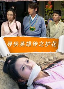 寻侠英雄传之护花完整版