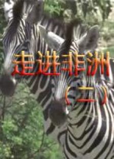 走进非洲二完整版