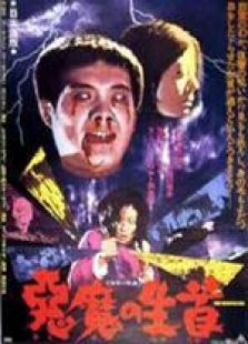 点击播放《心魔[1975]》