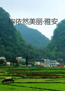 你依然美丽雅安微电影