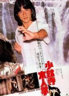 少林木人巷国语完整版