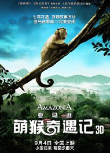 亚马逊萌猴奇遇记Amazonia