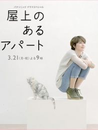 屋顶的公寓完整版