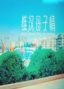 维汉母子情微电影免费观看
