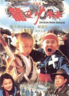 龙在少林