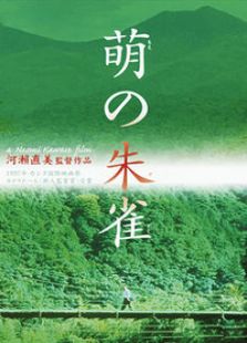 萌动的朱雀完整版