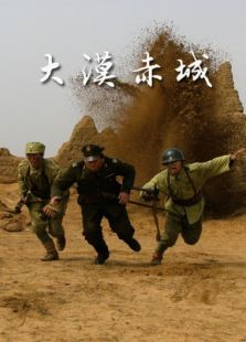 大漠赤城完整版