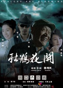 点击播放《杜鹃花开[微电影]》