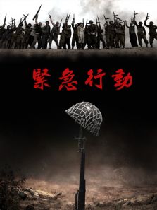 紧急行动电视剧全集