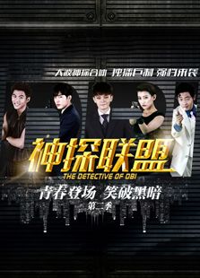 神探联盟第2季电视剧全集