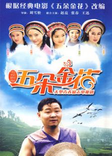 五朵金花电视剧全集
