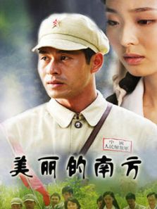 美丽的南方DVD
