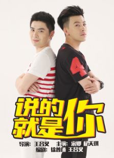 说的就是你电视剧全集