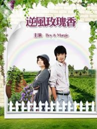 圆梦山庄之逆风玫瑰香电视剧全集