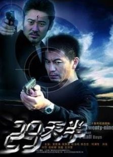 29天半电视剧全集
