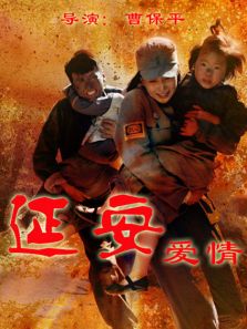 延安爱情DVD