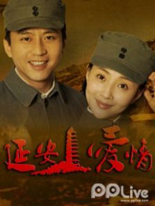延安爱情央视版DVD