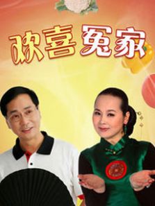 欢喜冤家DVD