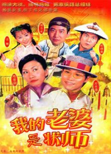 我的老婆是状师电视剧全集