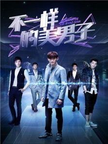 不一样的美男子 DVD版